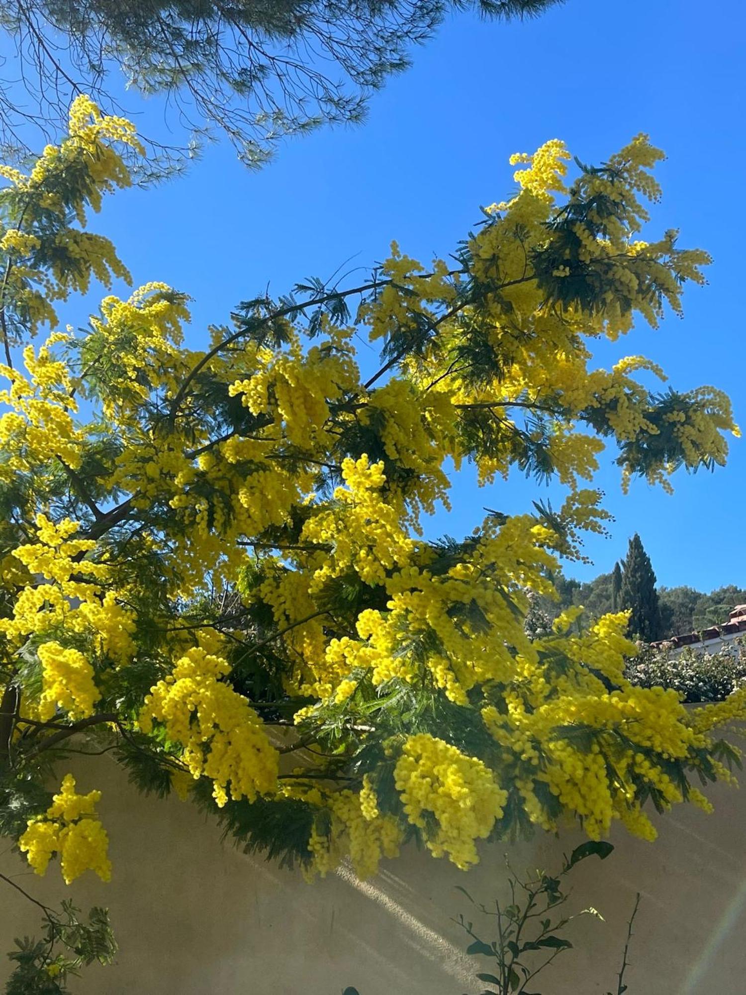 La Cartagene - Chambre Double Calvisson Dış mekan fotoğraf