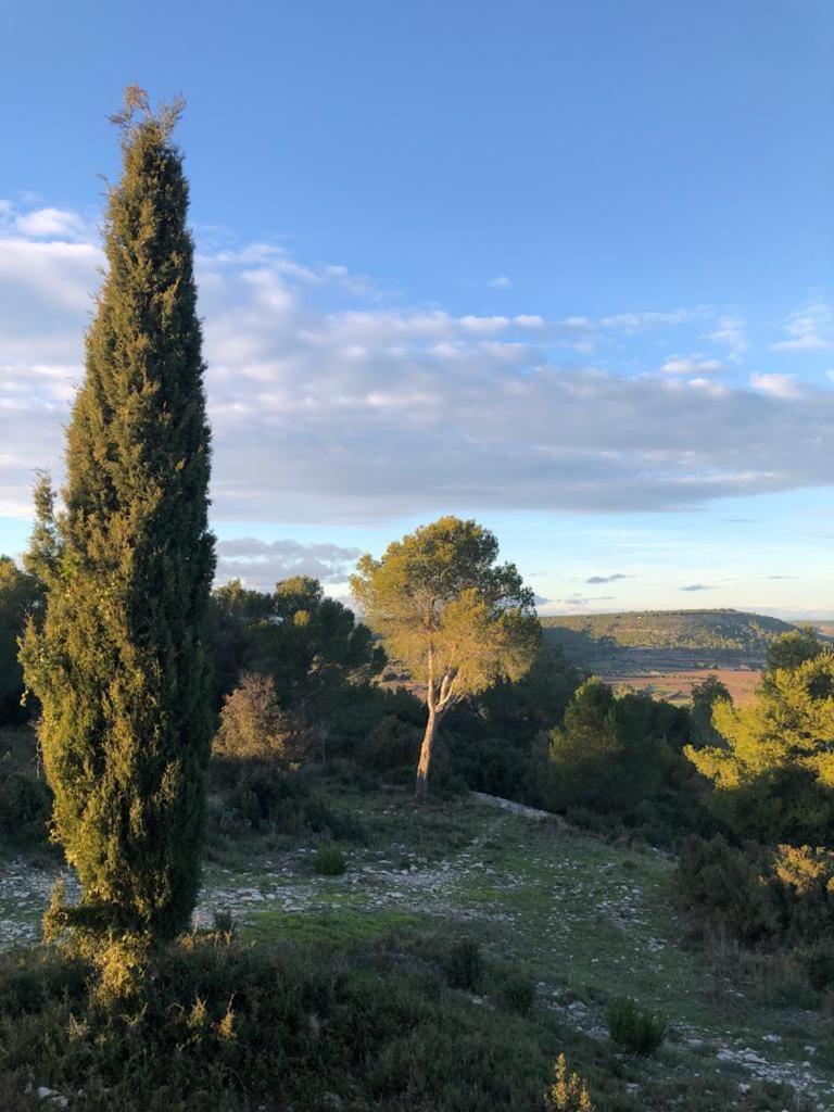 La Cartagene - Chambre Double Calvisson Dış mekan fotoğraf