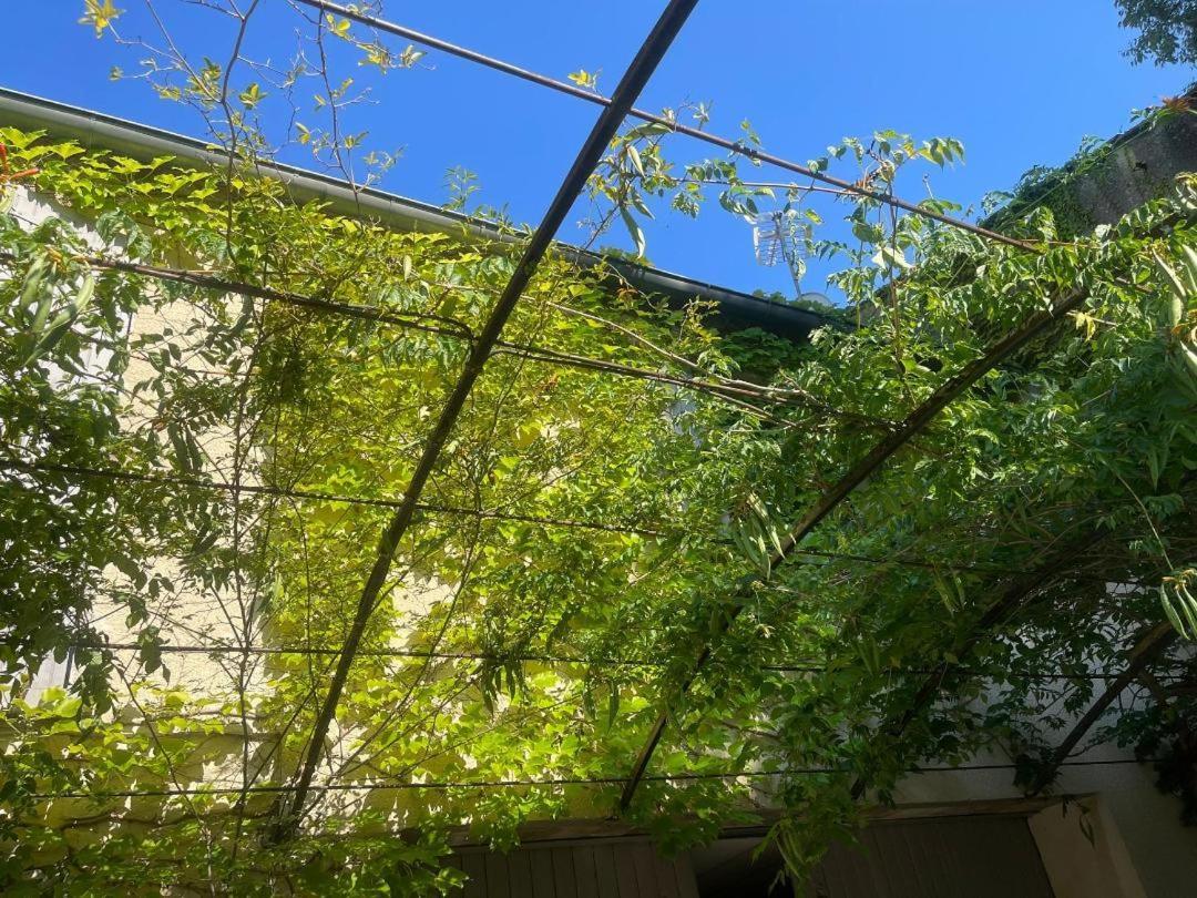 La Cartagene - Chambre Double Calvisson Dış mekan fotoğraf
