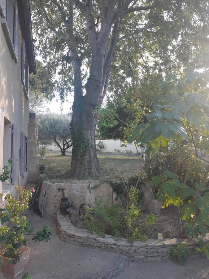 La Cartagene - Chambre Double Calvisson Dış mekan fotoğraf