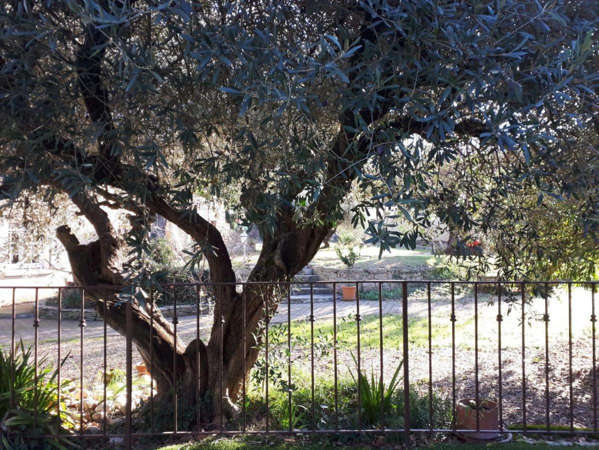 La Cartagene - Chambre Double Calvisson Dış mekan fotoğraf